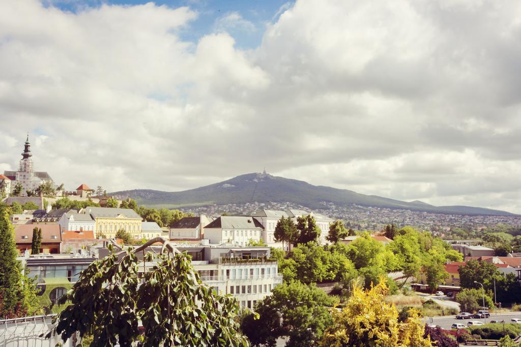 City Hotel Nitra With Free Parking Exteriör bild